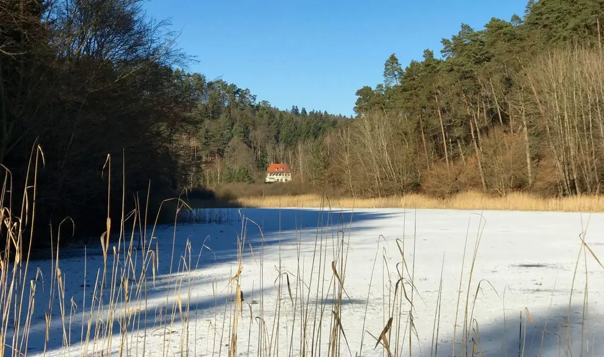 LocationRobot - Film Location Herrenhaus LR2392 (photo 39)