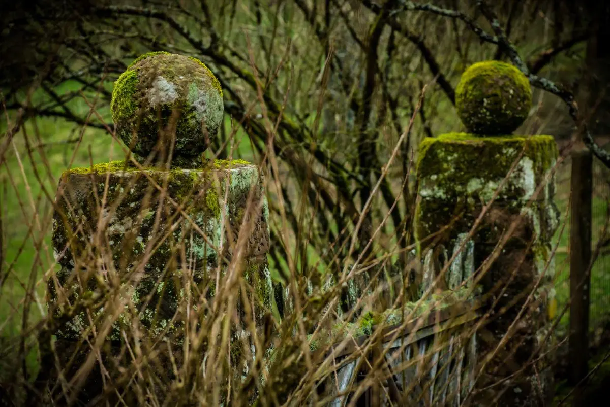 LocationRobot - Film Location Herrenhaus LR2392 (photo 32)