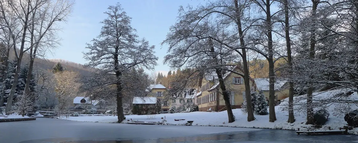 LocationRobot - Film Location Herrenhaus LR2473 (photo 38)