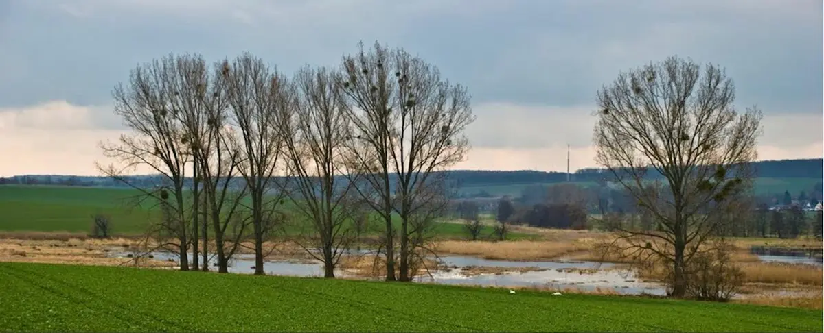LocationRobot - Film Location Barockschloss LR2798 (photo 60)