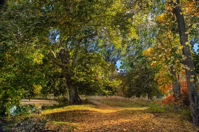 LocationRobot - Film Location Barockschloss LR2798 (photo 53)