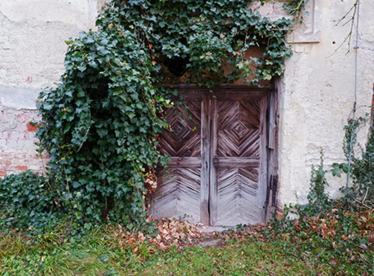 LocationRobot - Film Location Barockschloss LR2827 (photo 24)
