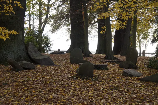 LocationRobot - Film Location Schloss LR3496 (photo 56)