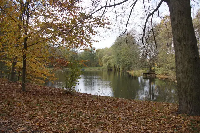 LocationRobot - Film Location Schloss LR3496 (photo 55)