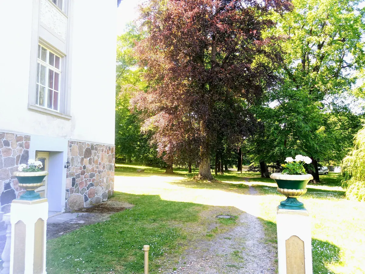 LocationRobot - Film Location Schloss LR3496 (photo 41)