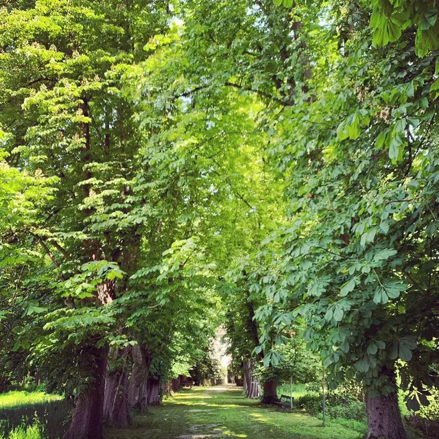 LocationRobot - Film Location Schloss LR3808 (photo 25)