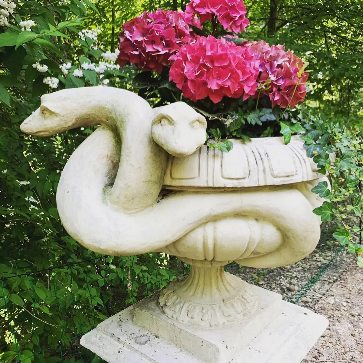 LocationRobot - Film Location Schloss LR3808 (photo 27)