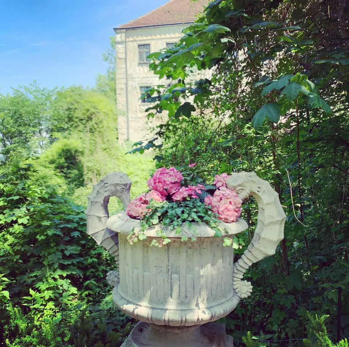 LocationRobot - Film Location Schloss LR3808 (photo 24)