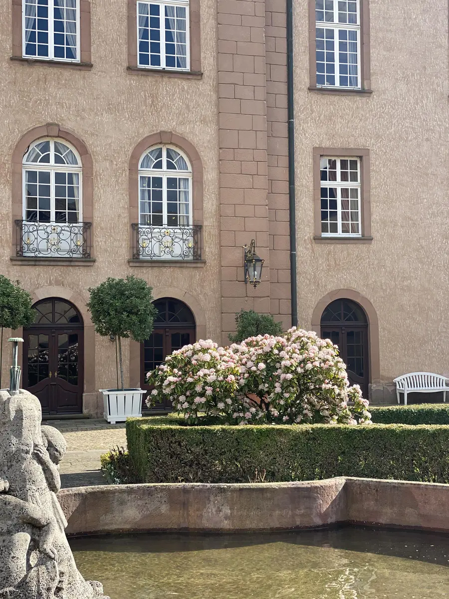 LocationRobot - Film Location Schloss LR3931 (photo 35)