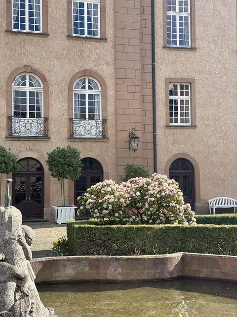 LocationRobot - Film Location Schloss LR3931 (photo 35)