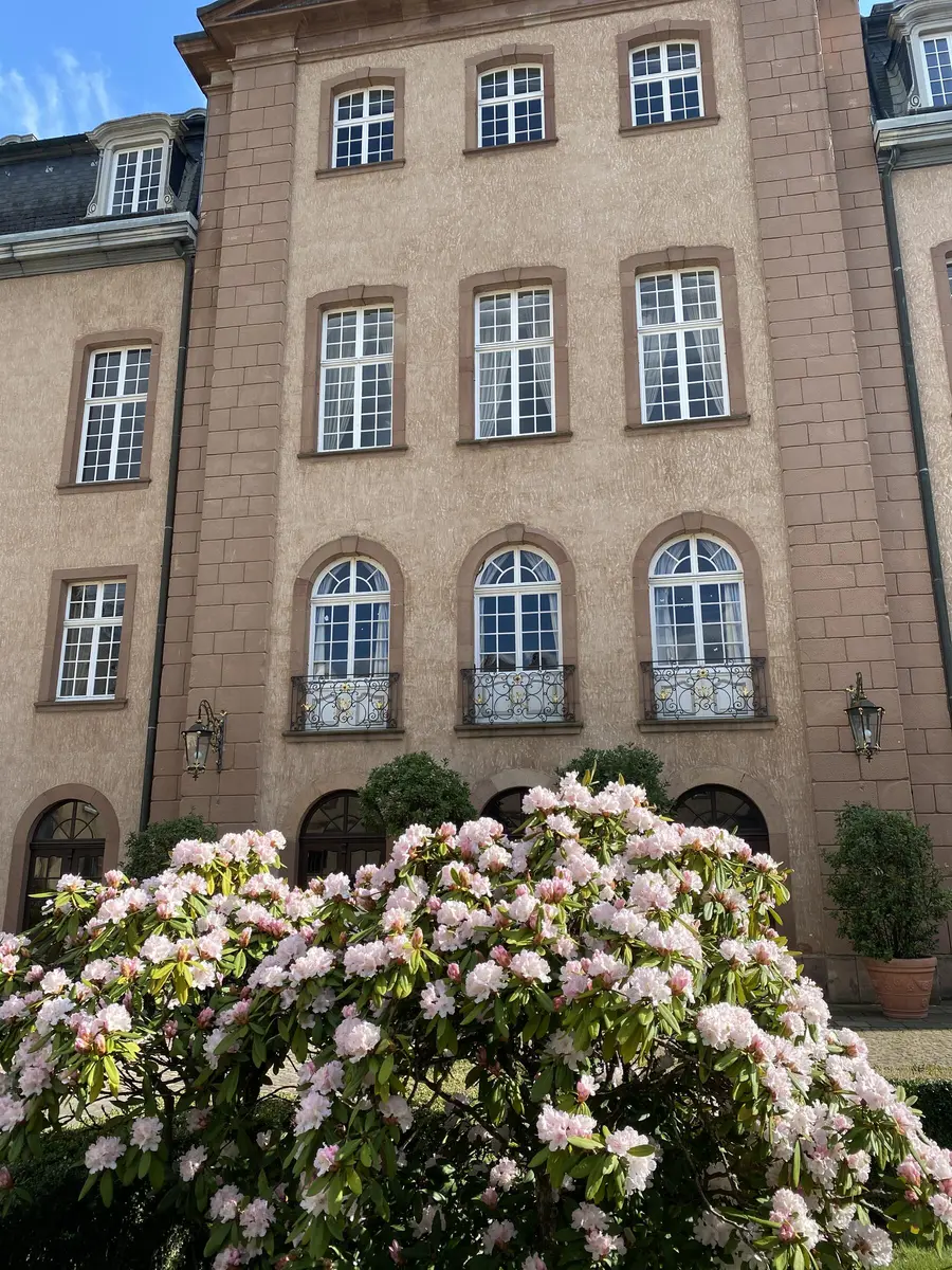 LocationRobot - Film Location Schloss LR3931 (photo 33)