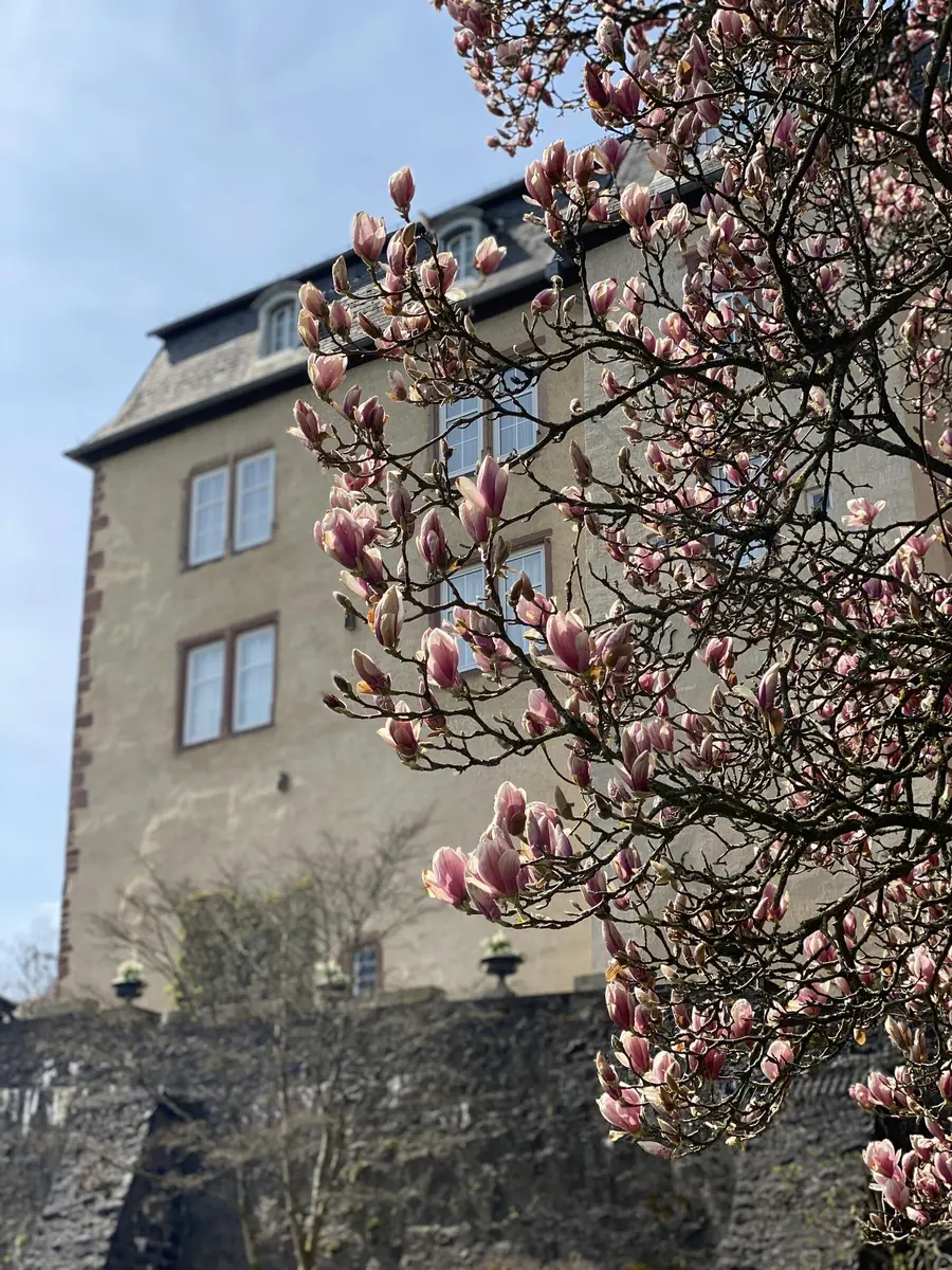 LocationRobot - Film Location Schloss LR3931 (photo 36)