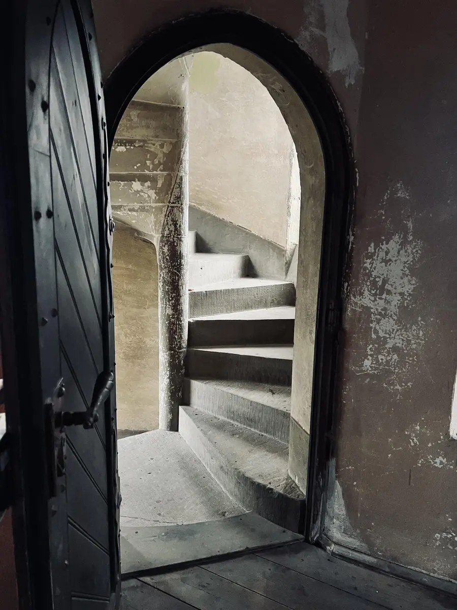 LocationRobot - Film Location Schloss LR4941 (photo 33)