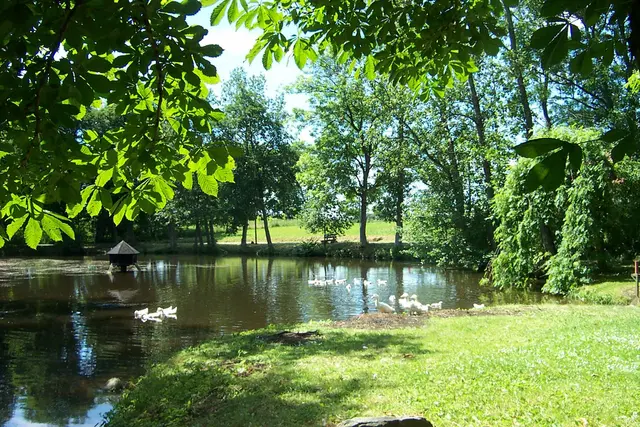 LocationRobot - Film Location Gutshaus LR5031 (photo 48)