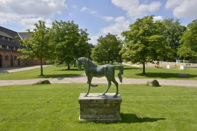 LocationRobot - Film Location Gutshaus LR5031 (photo 24)