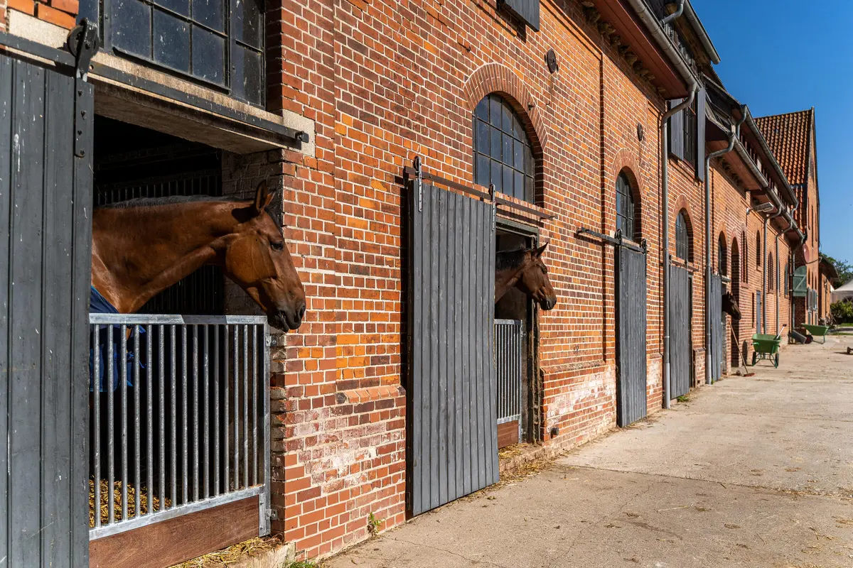 LocationRobot - Film Location Gutshaus LR5031 (photo 31)