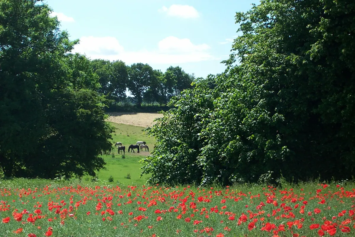 LocationRobot - Film Location Gutshaus LR5031 (photo 47)