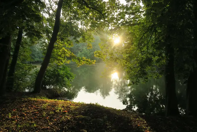 LocationRobot - Film Location Gutshaus LR5031 (photo 49)