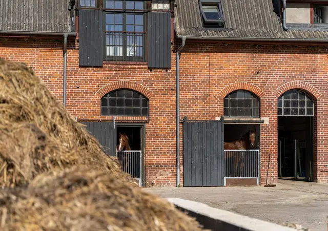 LocationRobot - Film Location Gutshaus LR5031 (photo 35)