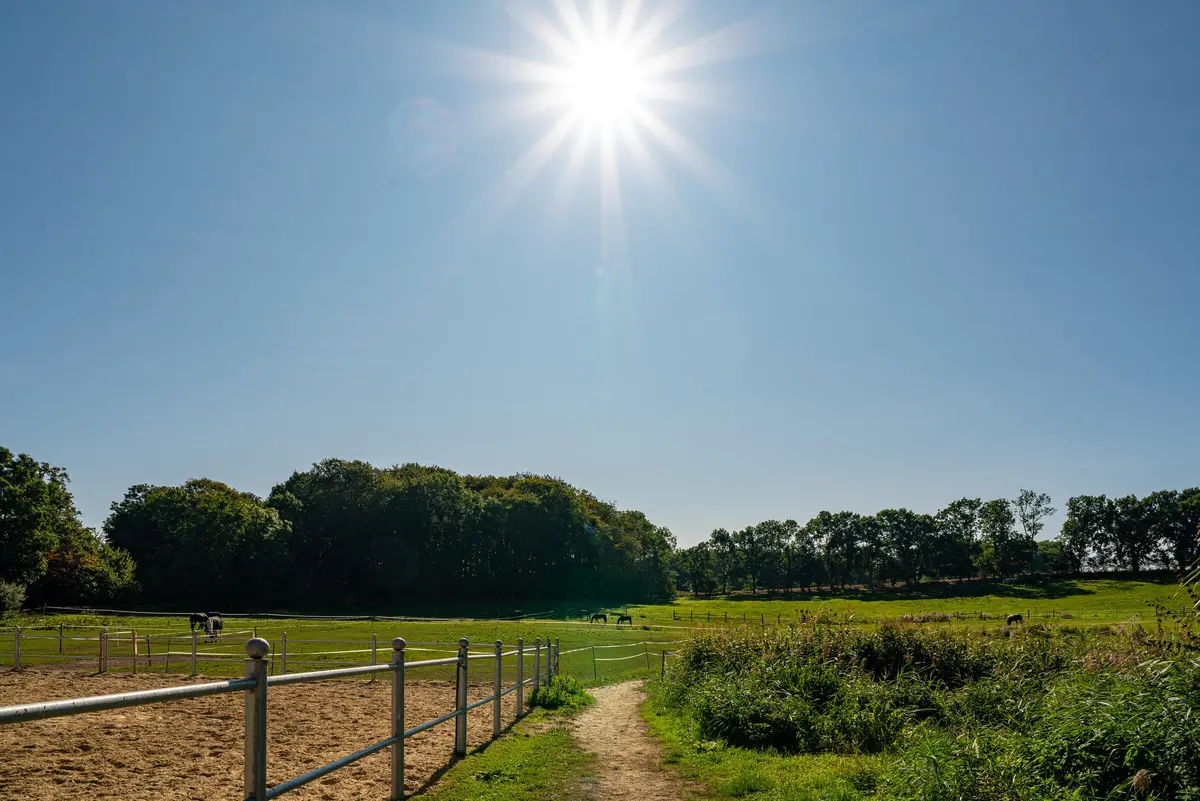 LocationRobot - Film Location Gutshaus LR5031 (photo 50)