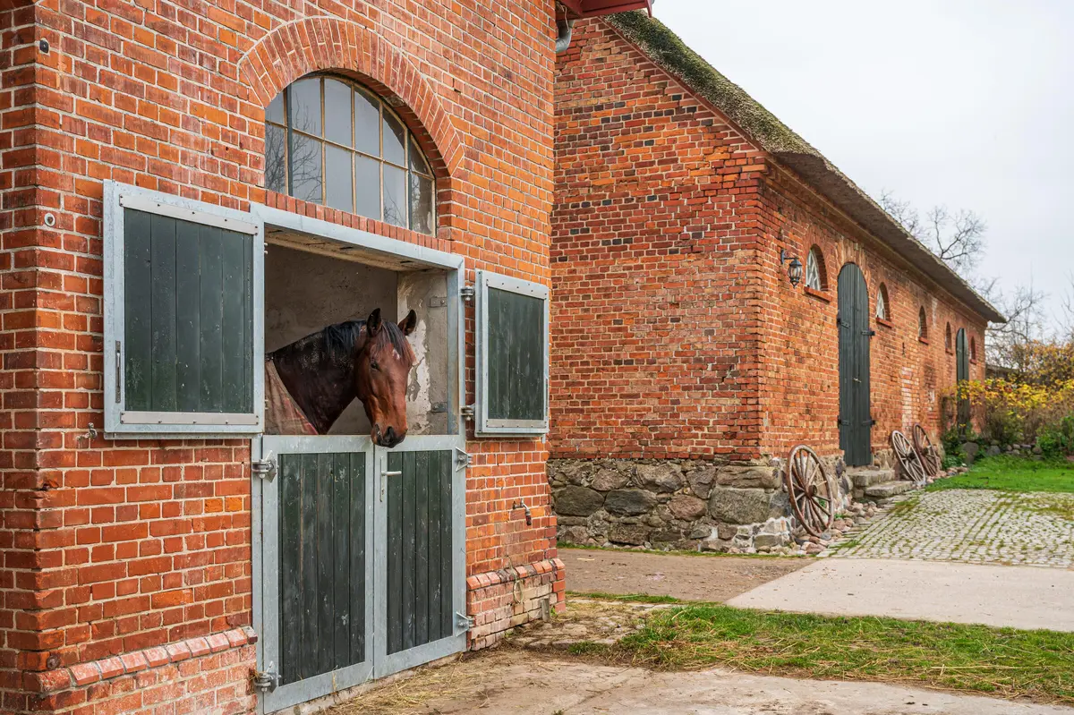 LocationRobot - Film Location Gutshaus LR5031 (photo 37)