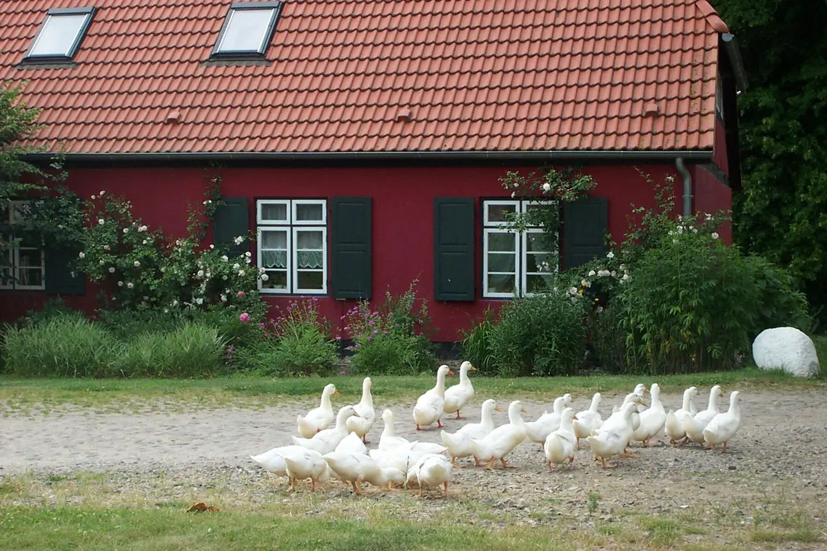 LocationRobot - Film Location Gutshaus LR5031 (photo 39)