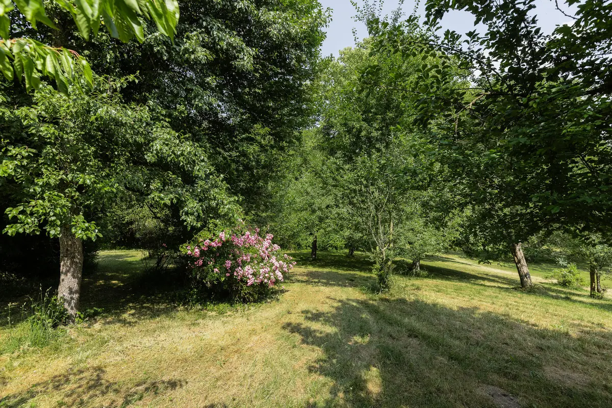 LocationRobot - Film Location Barockschloss LR5200 (photo 31)