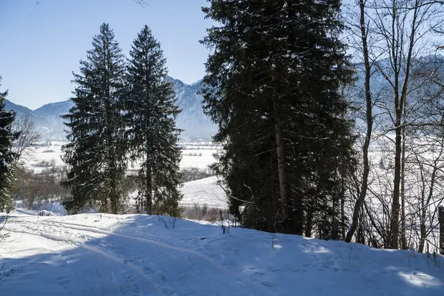 LocationRobot - Film Location Landhaus LR1943 (photo 50)