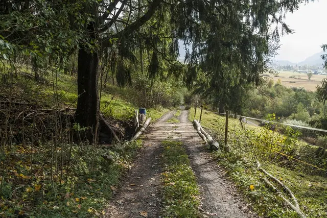 LocationRobot - Film Location Landhaus LR1943 (photo 38)