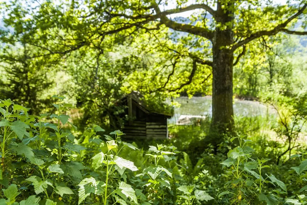 LocationRobot - Film Location Landhaus LR1943 (photo 35)