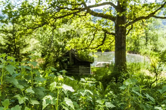 LocationRobot - Film Location Landhaus LR1943 (photo 35)