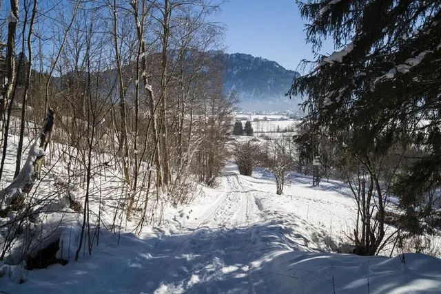 LocationRobot - Film Location Landhaus LR1943 (photo 52)