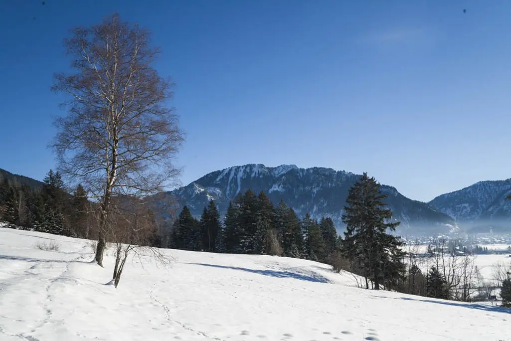 LocationRobot - Film Location Landhaus LR1943 (photo 51)