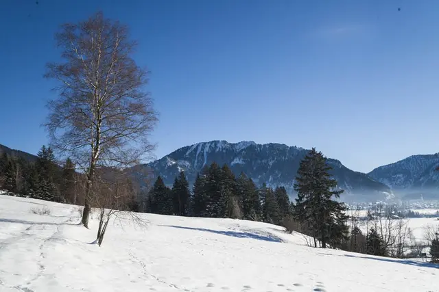 LocationRobot - Film Location Landhaus LR1943 (photo 51)