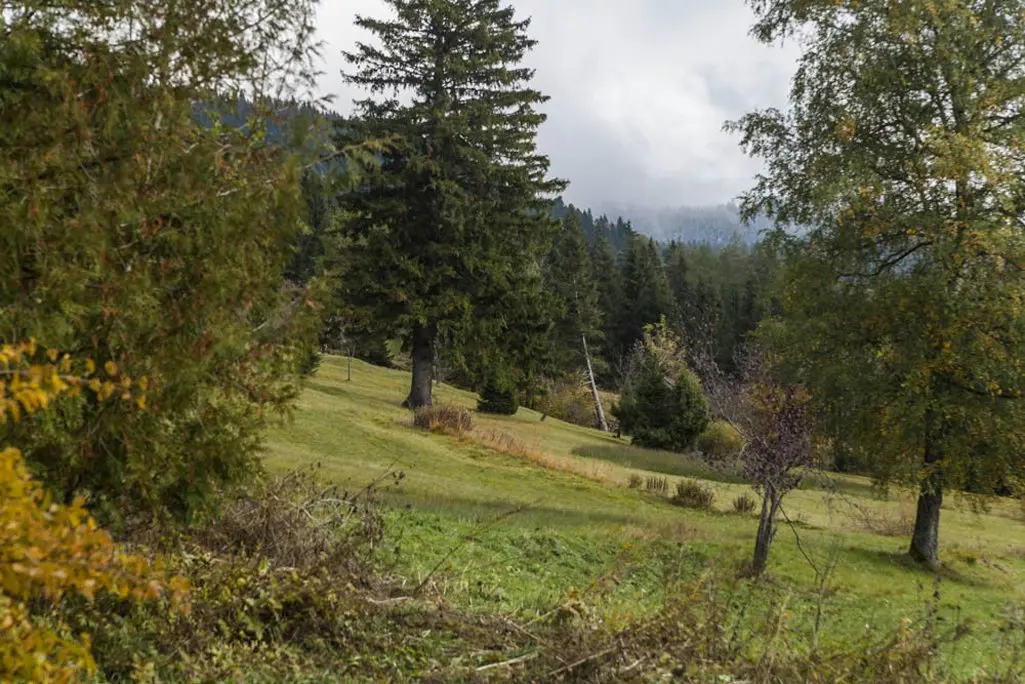 LocationRobot - Film Location Landhaus LR1943 (photo 42)