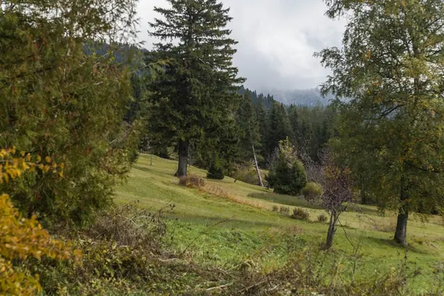 LocationRobot - Film Location Landhaus LR1943 (photo 42)