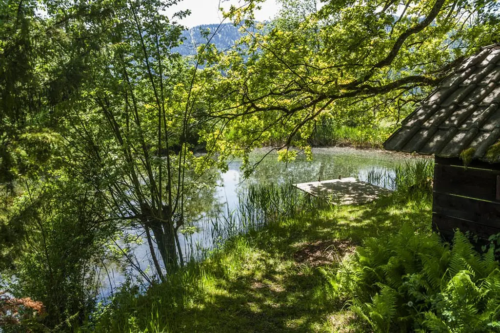 LocationRobot - Film Location Landhaus LR1943 (photo 36)