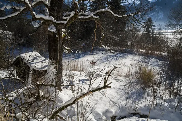 LocationRobot - Film Location Landhaus LR1943 (photo 49)