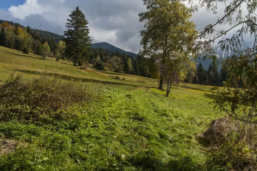 LocationRobot - Film Location Landhaus LR1943 (photo 41)