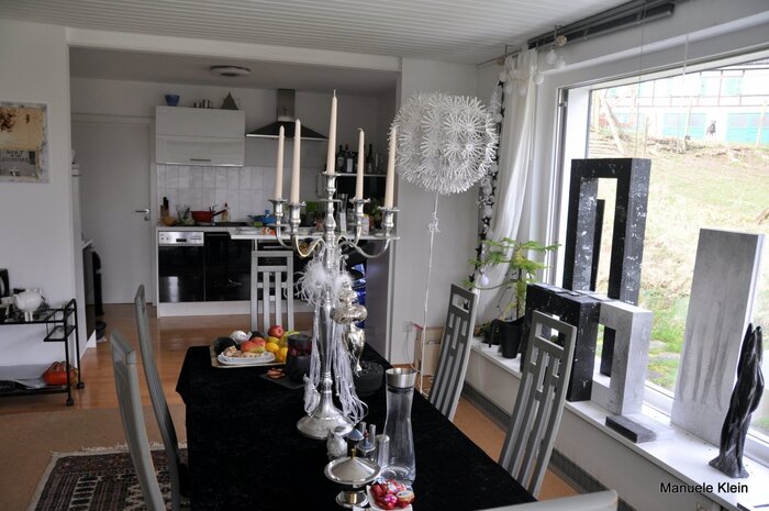 LocationRobot - Film Location Einfamilienhaus LR1962 (photo 5)