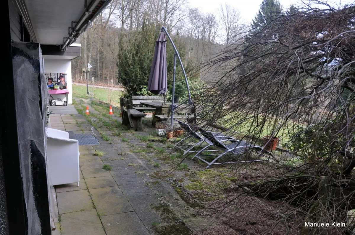 LocationRobot - Film Location Einfamilienhaus LR1962 (photo 18)