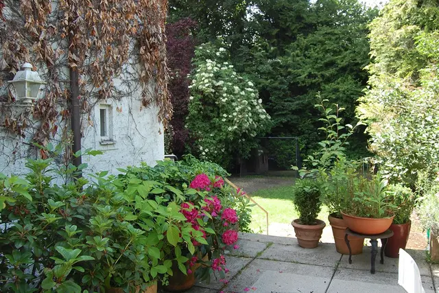 LocationRobot - Film Location Stadthaus LR1975 (photo 8)