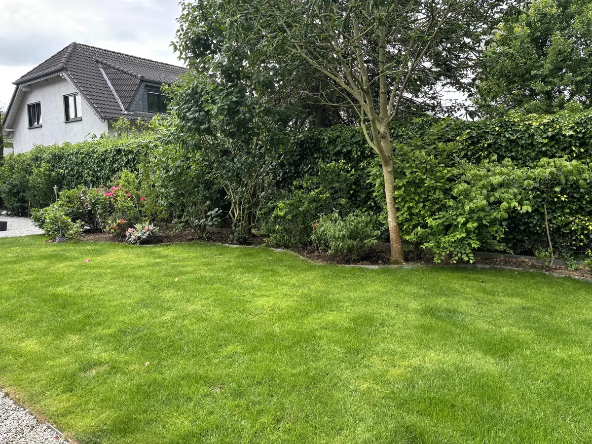 LocationRobot - Film Location Villa LR2043 (photo 55)