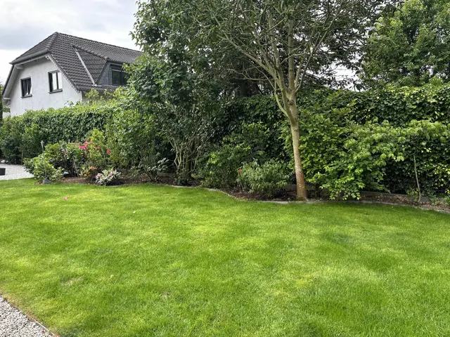 LocationRobot - Film Location Villa LR2043 (photo 55)