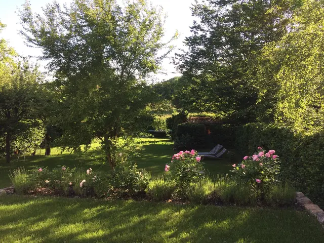 LocationRobot - Film Location Einfamilienhaus LR2080 (photo 3)