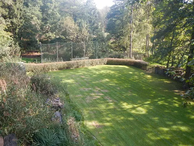 LocationRobot - Film Location Villa LR2158 (photo 31)