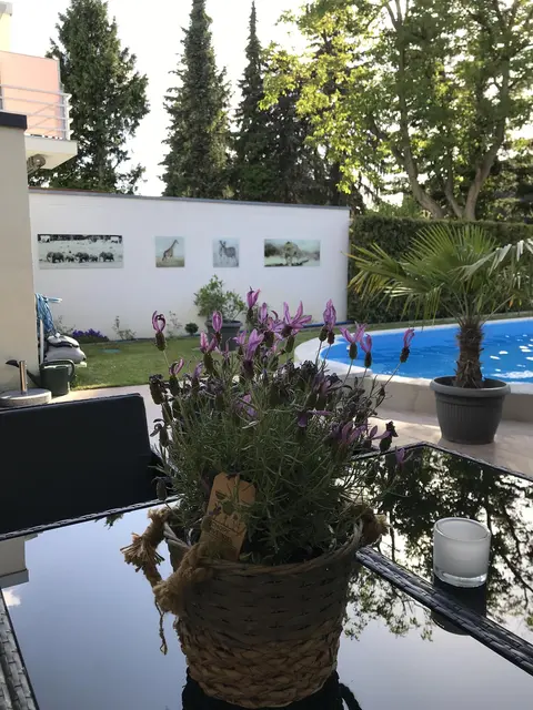 LocationRobot - Film Location Haus LR2191 (photo 30)