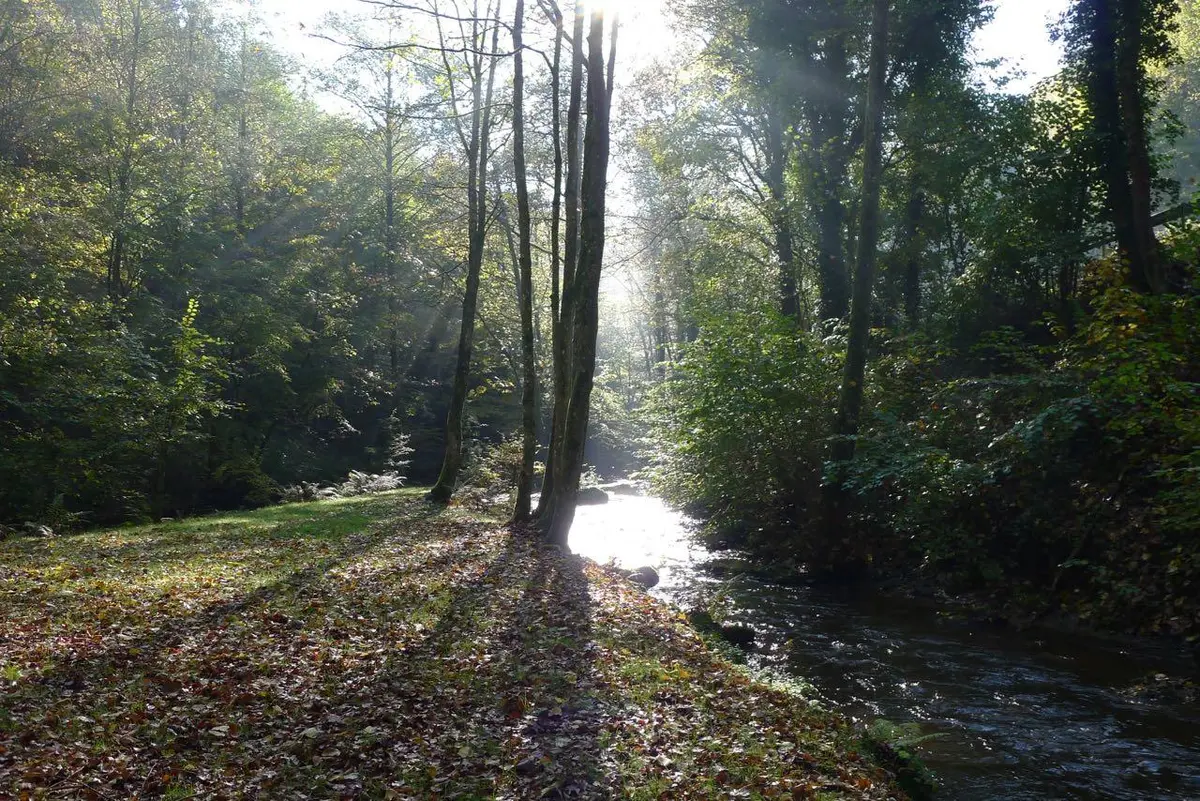 LocationRobot - Film Location Haus LR2390 (photo 44)