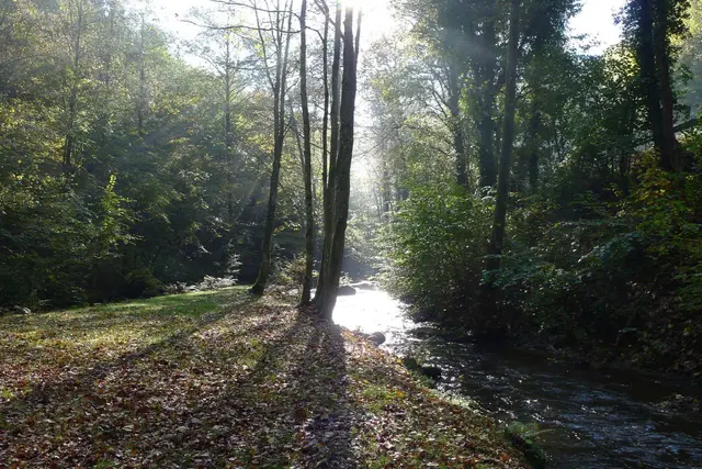 LocationRobot - Film Location Haus LR2390 (photo 44)