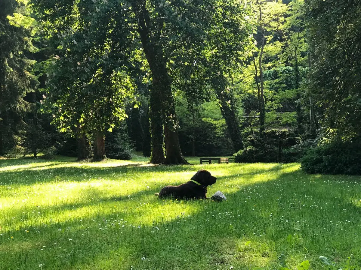 LocationRobot - Film Location Haus LR2390 (photo 38)